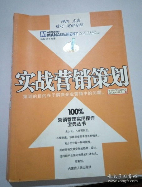 從問(wèn)題到方案 實(shí)戰(zhàn)營(yíng)銷策劃與企業(yè)管理咨詢的融合之道